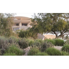 National Museum of Qatar: Museum Guide
