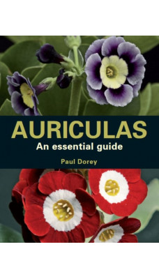Auriculas : An Essential Guide