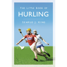 The Little Book of Hurling