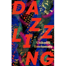 Dazzling : The shimmering, spellbinding debut novel