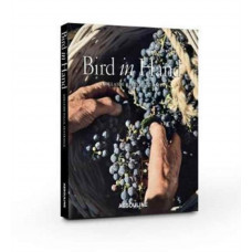 Bird in Hand: Adelaide Hills, Australia