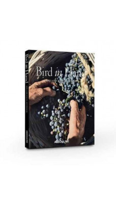 Bird in Hand: Adelaide Hills, Australia