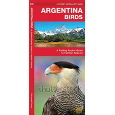Argentina Birds : A Folding Pocket Guide to Familiar Species