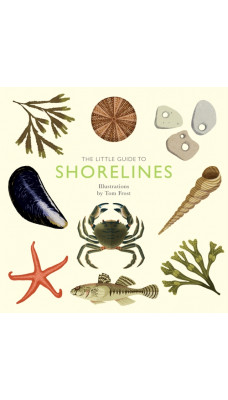 The Little Guide to Shorelines