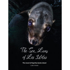 The Sea Lions of Los Islotes : The Jewel of Espiritu Santo Island