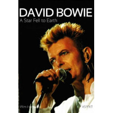 David Bowie : A Star Fell to Earth