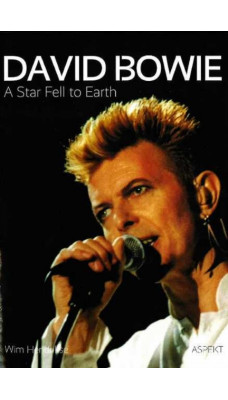 David Bowie : A Star Fell to Earth